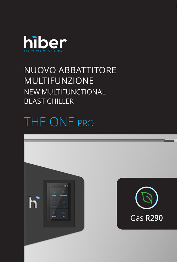 Hiber – The One Pro